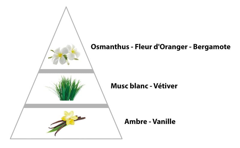 NARCISOS parfum pour Femme (50F) – Image 2