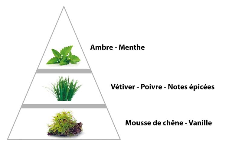 parfum de correspondance pour homme pas cher