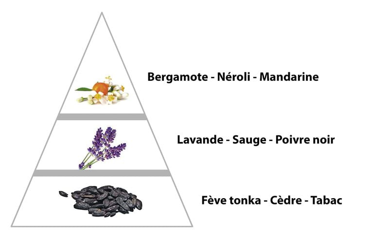 DOLCHE parfum pour Homme (17M) – Image 2