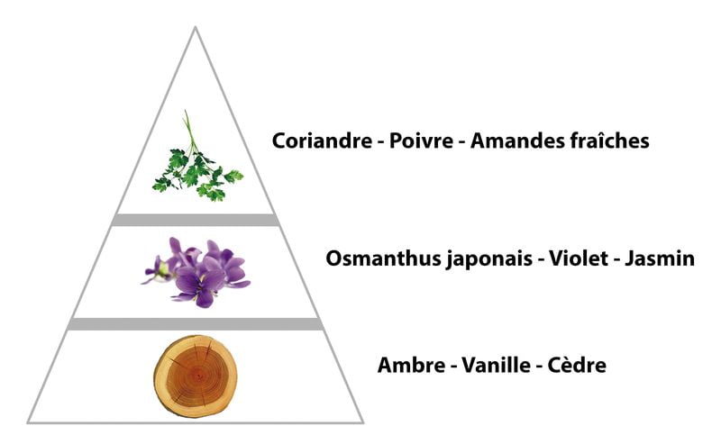 INFRAROUGE parfum pour Femme (34F) – Image 2