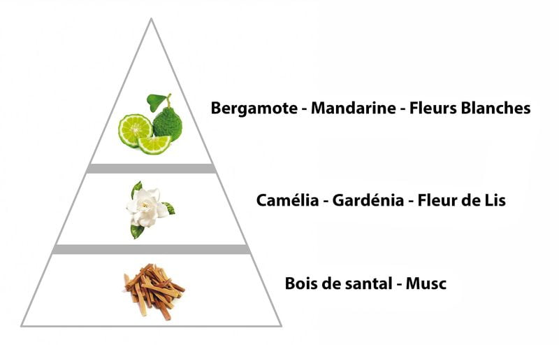 parfum de correspondance pour femme pas cher
