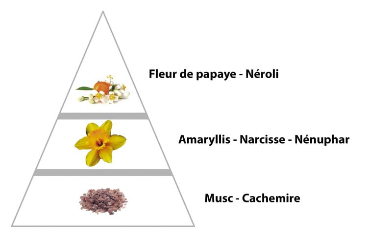 DULCE parfum pour Femme (74F) – Image 2