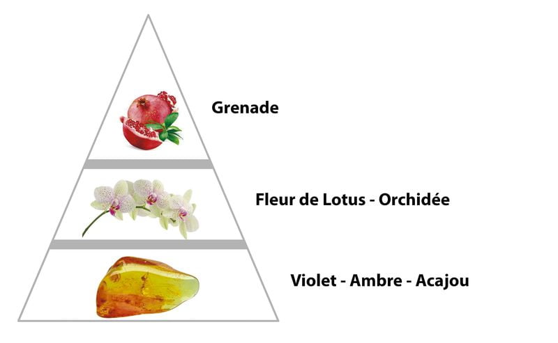 parfum de correspondance pour femme pas cher