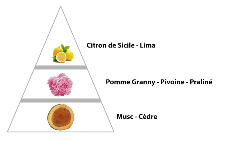 LINA parfum pour Femme (43F) – Image 2