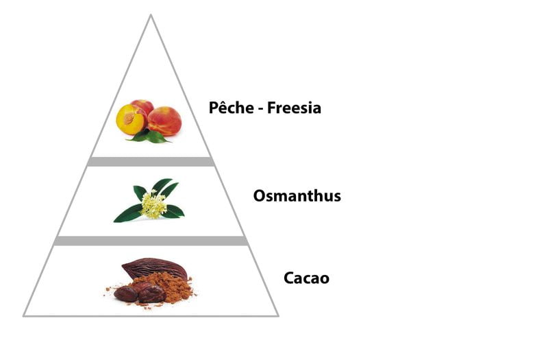 parfum de correspondance pour femme pas cher